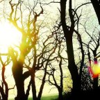 Drowning in Silence, Emerging in Peace