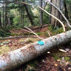 “There Are No Wrong Turnings…