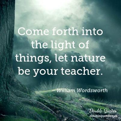 come-forth-into-the-light-of-things-let-nature-be-your-teacher-403x403-nk2191