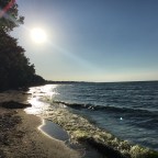 Rise. Be Brave. Repeat.