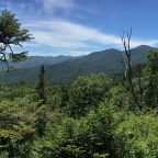 Street & Nye: A Woodland Wonder