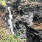 “A Grateful Heart is a Magnet for Miracles.”