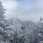 Snowshoeing Our Way to Saddleback