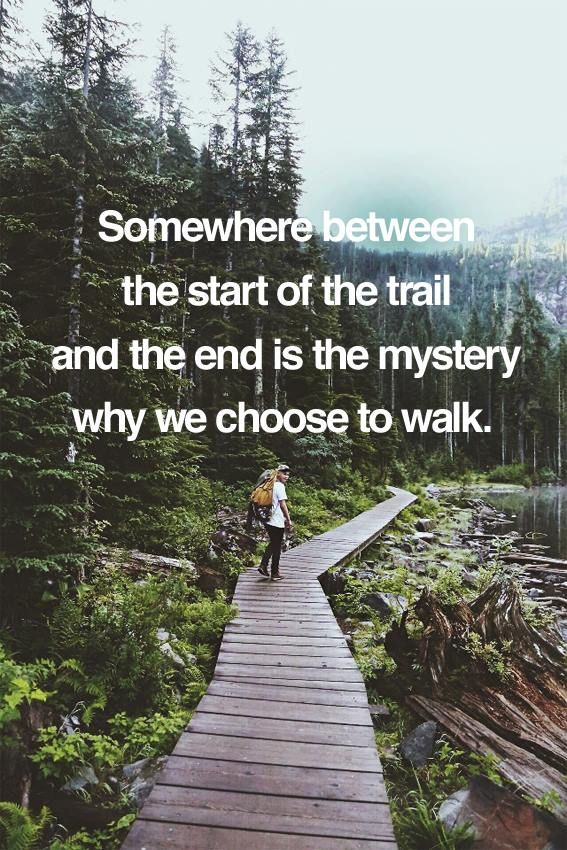 a629328276a656eb5ceb6746f0beff7c