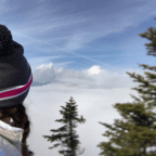 Colvin and Blake: A Blessing in Disguise