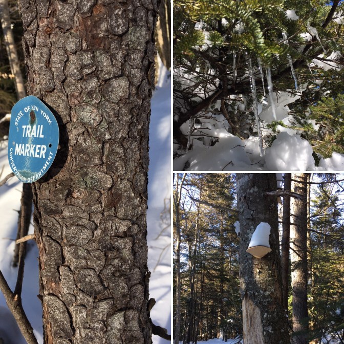 9f6f171e-071b-4f3f-bfe6-91d56c4fef31