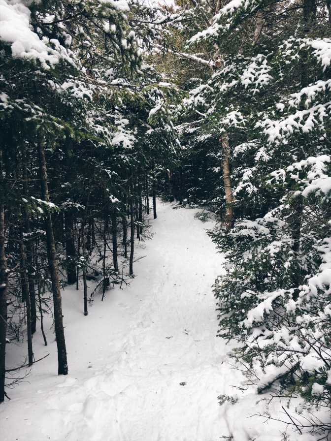 4fba95c0-ef61-41e0-9817-e78ebcde6fbc-1