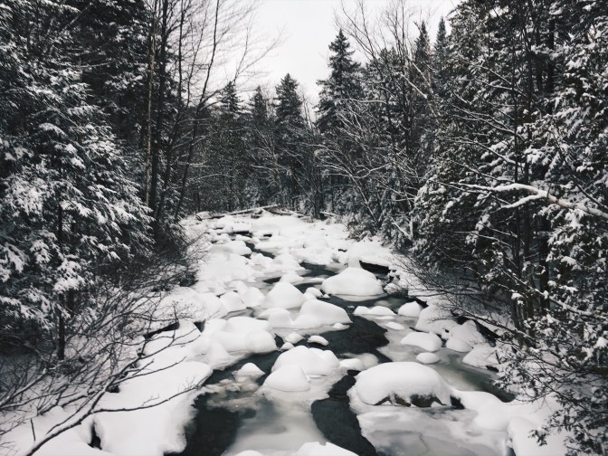 61873d9e-179b-41d5-be17-8b7c1f957169