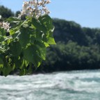 Baby…Why Don’t You Just Meet Me in the Middle