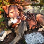 An Allen Sunrise with Jackson’s Journeys